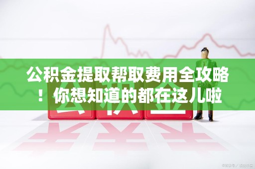 阜南公积金提取帮取费用全攻略!你想知道的都在这儿啦 阜南公积金提取帮取费用全攻略!你想知道的都在这儿啦