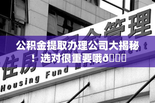 阜南公积金提取办理公司大揭秘！选对很重要哦😎