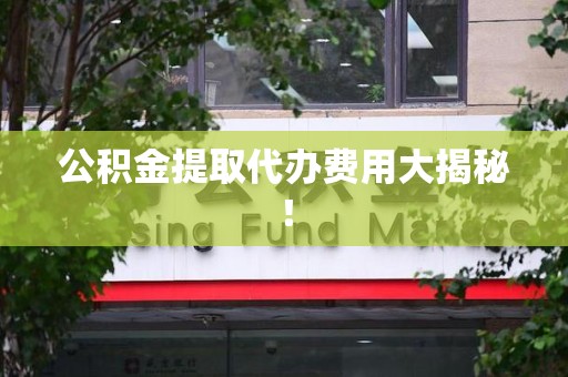 阜南公积金提取代办费用大揭秘! 阜南公积金提取代办费用大揭秘!