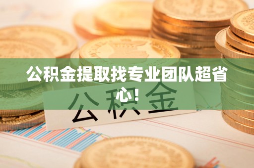 阜南公积金提取找专业团队超省心！
