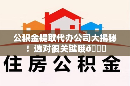 阜南公积金提取代办公司大揭秘！选对很关键哦😎