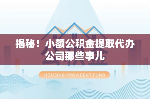 阜南揭秘！小额公积金提取代办公司那些事儿